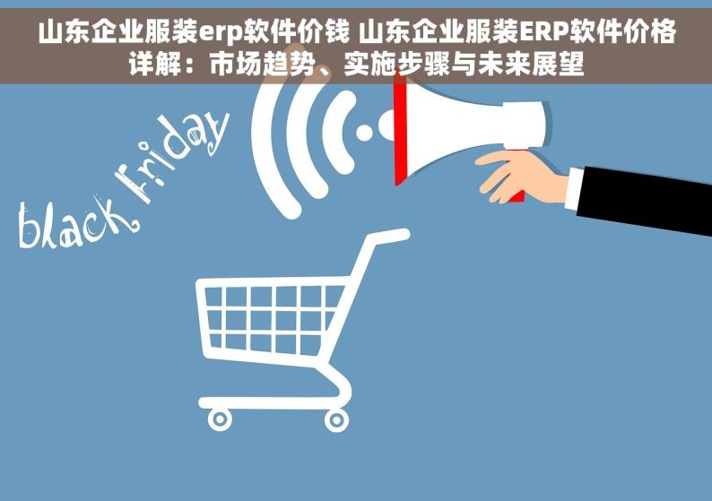 山东企业服装erp软件价钱 山东企业服装ERP软件价格详解：市场趋势、实施步骤与未来展望