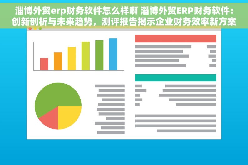 淄博外贸erp财务软件怎么样啊 淄博外贸ERP财务软件：创新剖析与未来趋势，测评报告揭示企业财务效率新方案