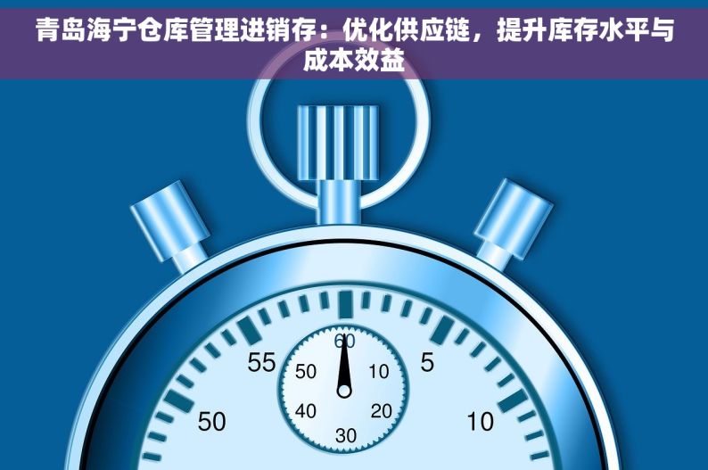 青岛海宁仓库管理进销存：优化供应链，提升库存水平与成本效益