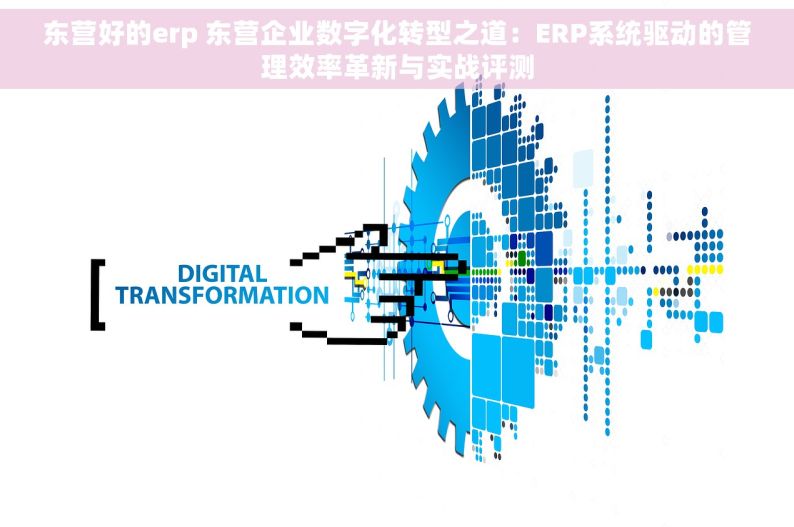 东营好的erp 东营企业数字化转型之道：ERP系统驱动的管理效率革新与实战评测