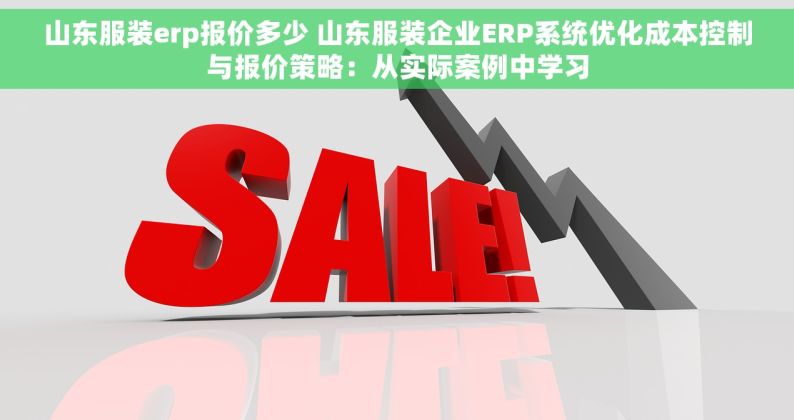 山东服装erp报价多少 山东服装企业ERP系统优化成本控制与报价策略：从实际案例中学习