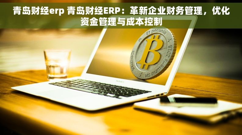 青岛财经erp 青岛财经ERP：革新企业财务管理，优化资金管理与成本控制