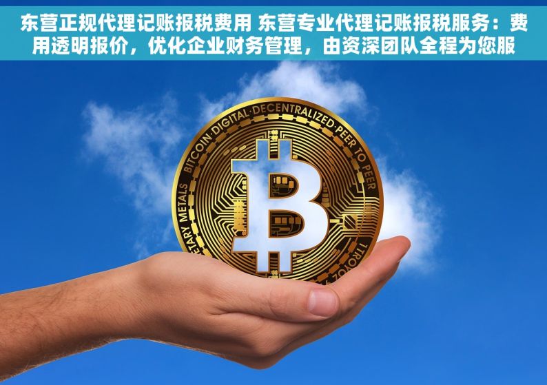 东营正规代理记账报税费用 东营专业代理记账报税服务：费用透明报价，优化企业财务管理，由资深团队全程为您服务