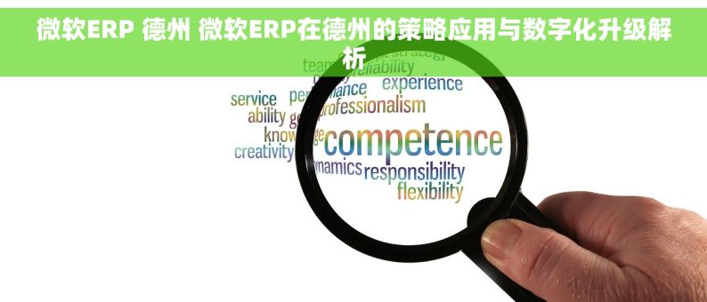 微软ERP 德州 微软ERP在德州的策略应用与数字化升级解析