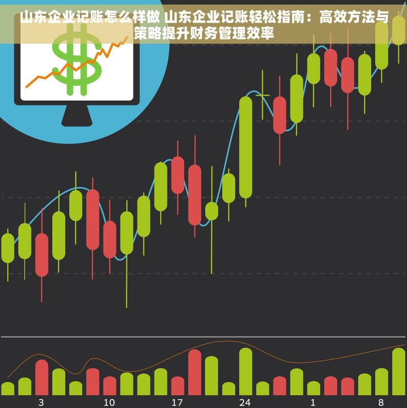 山东企业记账怎么样做 山东企业记账轻松指南：高效方法与策略提升财务管理效率