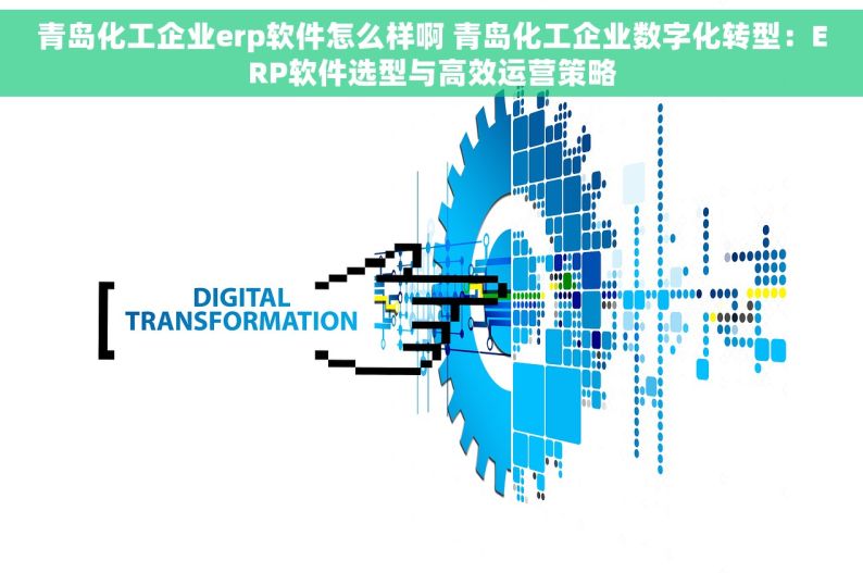 青岛化工企业erp软件怎么样啊 青岛化工企业数字化转型：ERP软件选型与高效运营策略