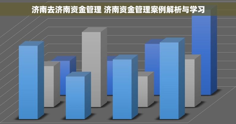 济南去济南资金管理 济南资金管理案例解析与学习