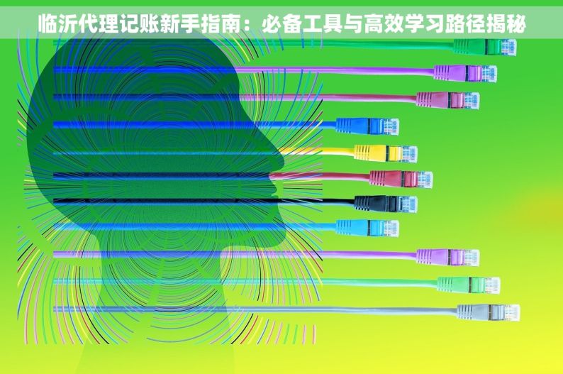 临沂代理记账新手指南：必备工具与高效学习路径揭秘