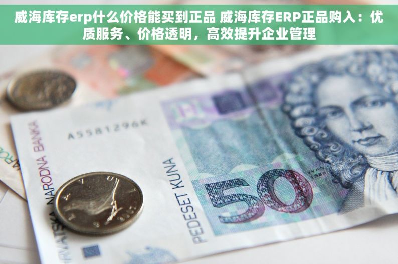 威海库存erp什么价格能买到正品 威海库存ERP正品购入：优质服务、价格透明，高效提升企业管理