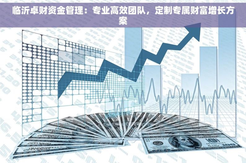 临沂卓财资金管理：专业高效团队，定制专属财富增长方案