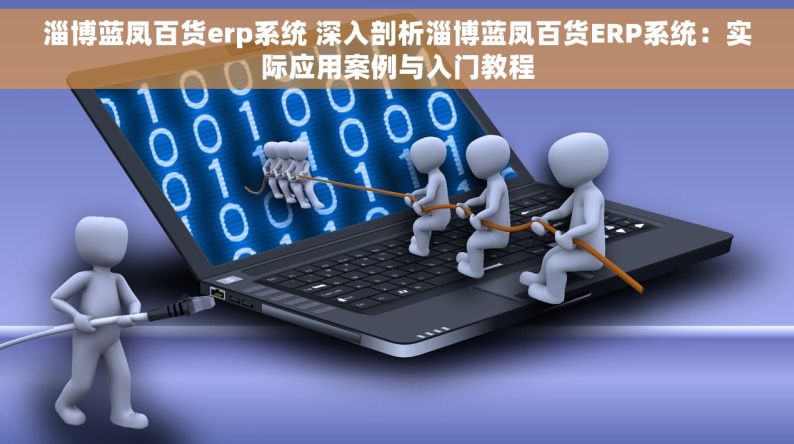 淄博蓝凤百货erp系统 深入剖析淄博蓝凤百货ERP系统：实际应用案例与入门教程