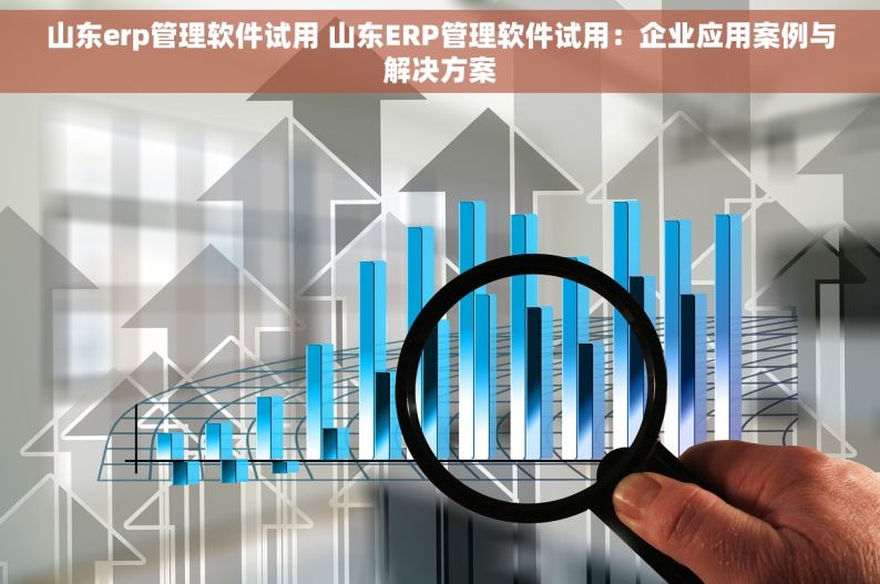 山东erp管理软件试用 山东ERP管理软件试用：企业应用案例与解决方案