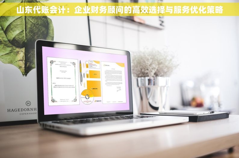 山东代账会计：企业财务顾问的高效选择与服务优化策略