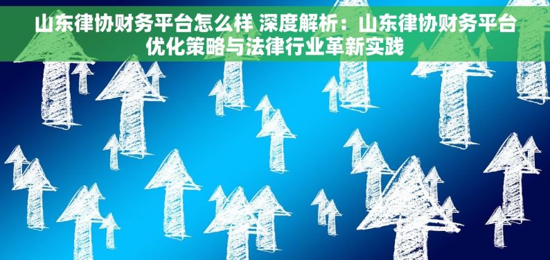 山东律协财务平台怎么样 深度解析：山东律协财务平台优化策略与法律行业革新实践