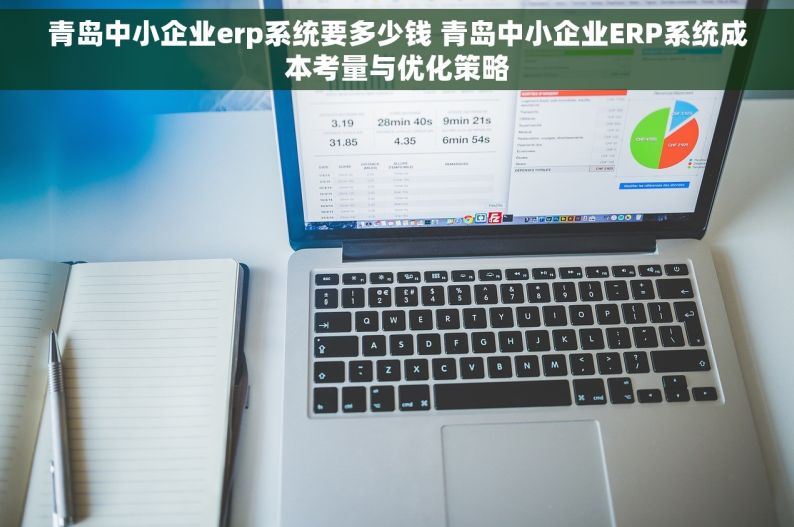 青岛中小企业erp系统要多少钱 青岛中小企业ERP系统成本考量与优化策略