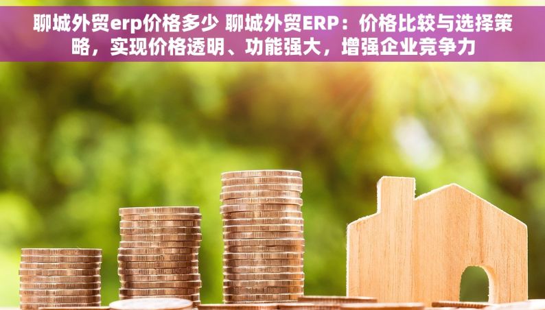 聊城外贸erp价格多少 聊城外贸ERP：价格比较与选择策略，实现价格透明、功能强大，增强企业竞争力