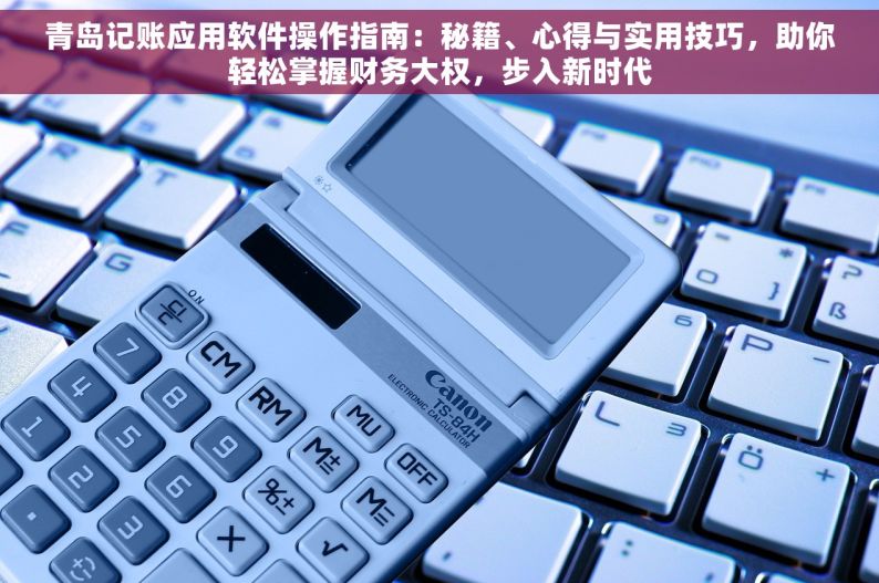 青岛记账应用软件操作指南：秘籍、心得与实用技巧，助你轻松掌握财务大权，步入新时代