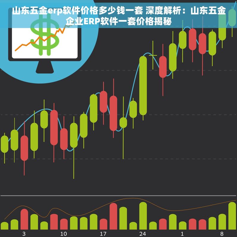 山东五金erp软件价格多少钱一套 深度解析：山东五金企业ERP软件一套价格揭秘