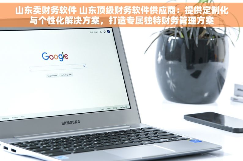 山东卖财务软件 山东顶级财务软件供应商：提供定制化与个性化解决方案，打造专属独特财务管理方案