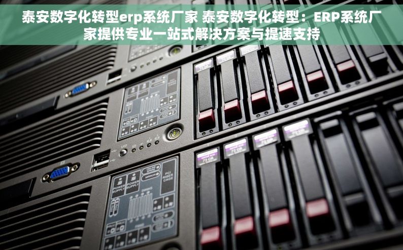 泰安数字化转型erp系统厂家 泰安数字化转型：ERP系统厂家提供专业一站式解决方案与提速支持