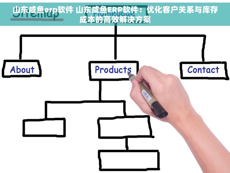 山东咸鱼erp软件 山东咸鱼ERP软件：优化客户关系与库存成本的高效解决方案