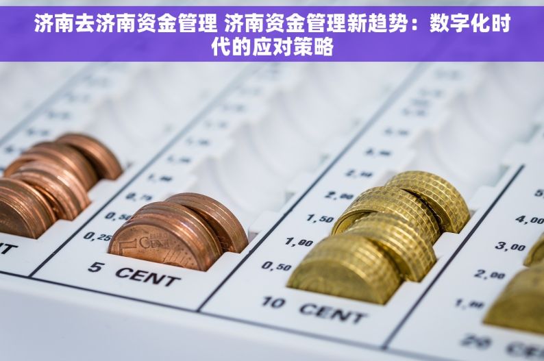 济南去济南资金管理 济南资金管理新趋势：数字化时代的应对策略