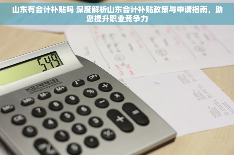 山东有会计补贴吗 深度解析山东会计补贴政策与申请指南，助您提升职业竞争力