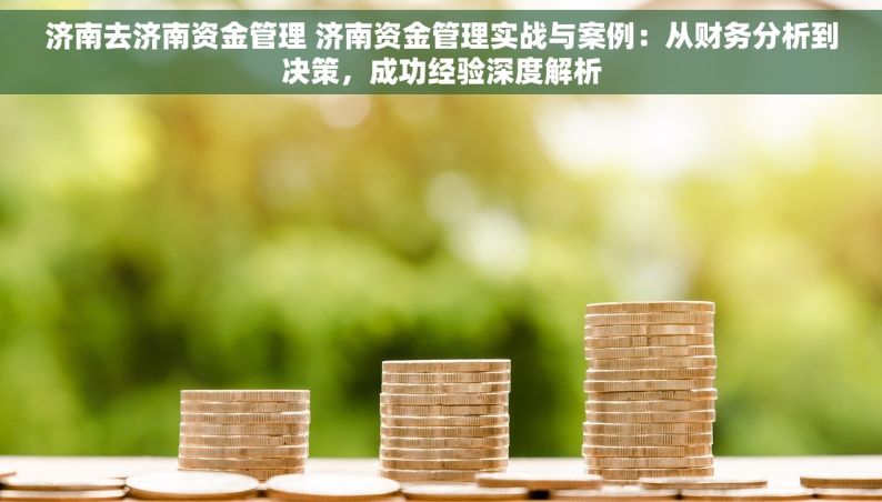 济南去济南资金管理 济南资金管理实战与案例：从财务分析到决策，成功经验深度解析