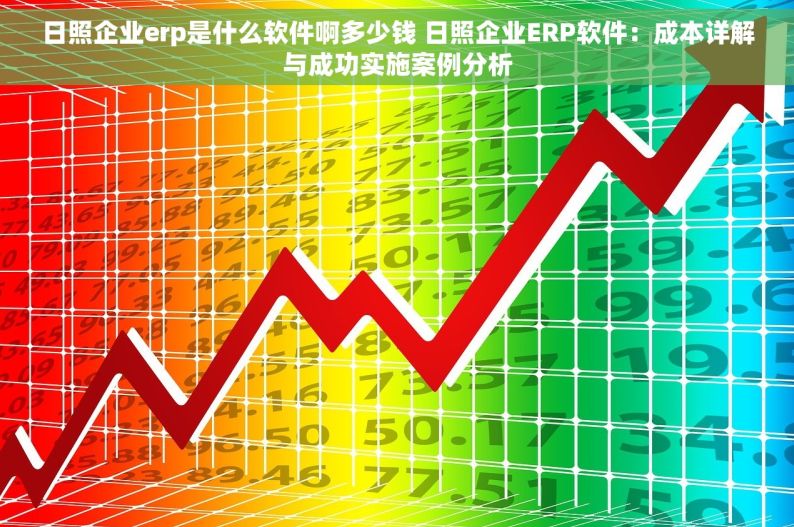 日照企业erp是什么软件啊多少钱 日照企业ERP软件：成本详解与成功实施案例分析