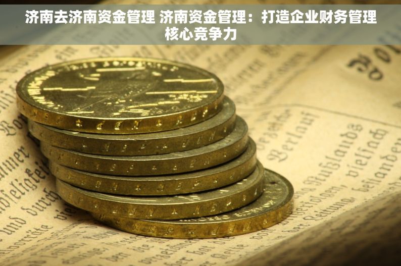 济南去济南资金管理 济南资金管理：打造企业财务管理核心竞争力