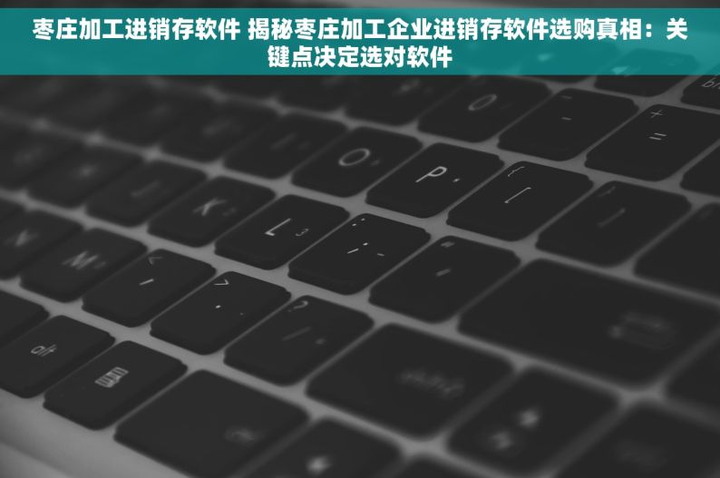 枣庄加工进销存软件 揭秘枣庄加工企业进销存软件选购真相：关键点决定选对软件