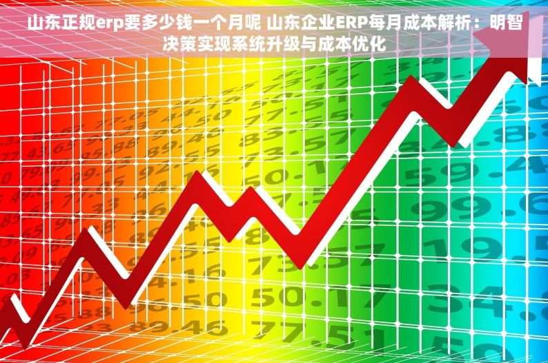 山东正规erp要多少钱一个月呢 山东企业ERP每月成本解析：明智决策实现系统升级与成本优化