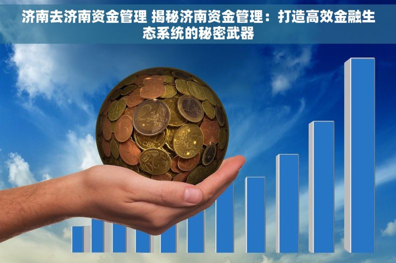 济南去济南资金管理 揭秘济南资金管理：打造高效金融生态系统的秘密武器