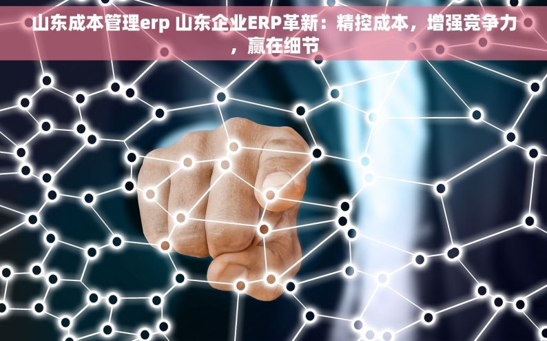 山东成本管理erp 山东企业ERP革新：精控成本，增强竞争力，赢在细节