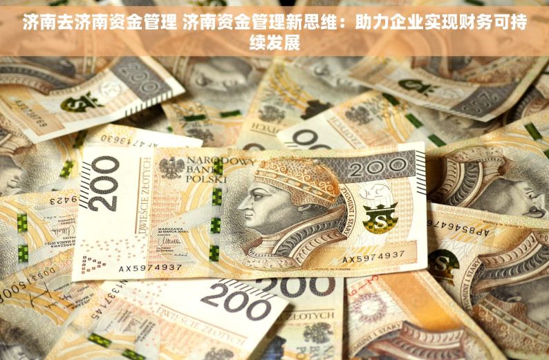 济南去济南资金管理 济南资金管理新思维：助力企业实现财务可持续发展