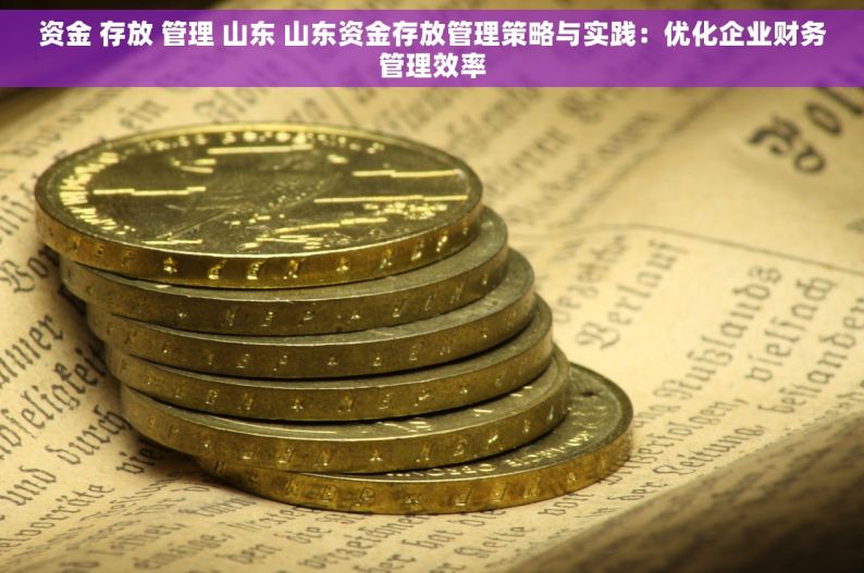 资金 存放 管理 山东 山东资金存放管理策略与实践：优化企业财务管理效率