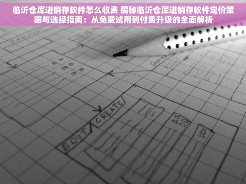 临沂仓库进销存软件怎么收费 揭秘临沂仓库进销存软件定价策略与选择指南：从免费试用到付费升级的全面解析