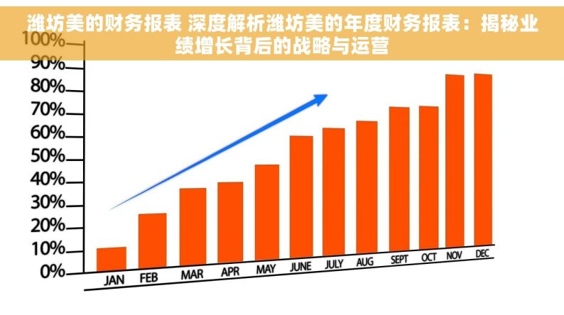 潍坊美的财务报表 深度解析潍坊美的年度财务报表：揭秘业绩增长背后的战略与运营