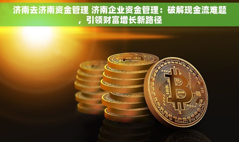 济南去济南资金管理 济南企业资金管理：破解现金流难题，引领财富增长新路径