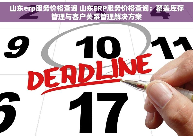 山东erp服务价格查询 山东ERP服务价格查询：覆盖库存管理与客户关系管理解决方案