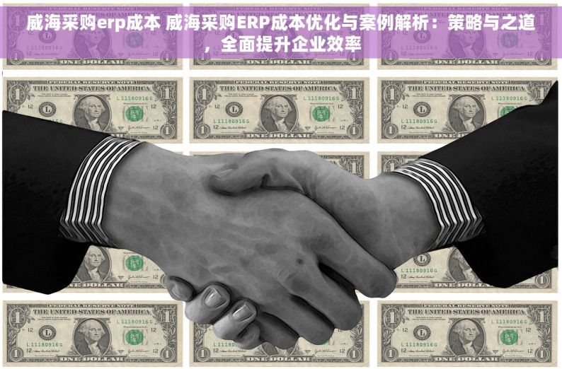 威海采购erp成本 威海采购ERP成本优化与案例解析：策略与之道，全面提升企业效率