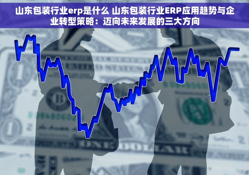 山东包装行业erp是什么 山东包装行业ERP应用趋势与企业转型策略：迈向未来发展的三大方向