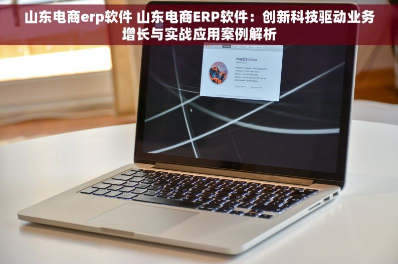 山东电商erp软件 山东电商ERP软件：创新科技驱动业务增长与实战应用案例解析