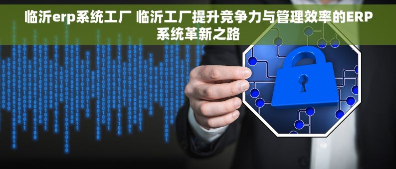 临沂erp系统工厂 临沂工厂提升竞争力与管理效率的ERP系统革新之路