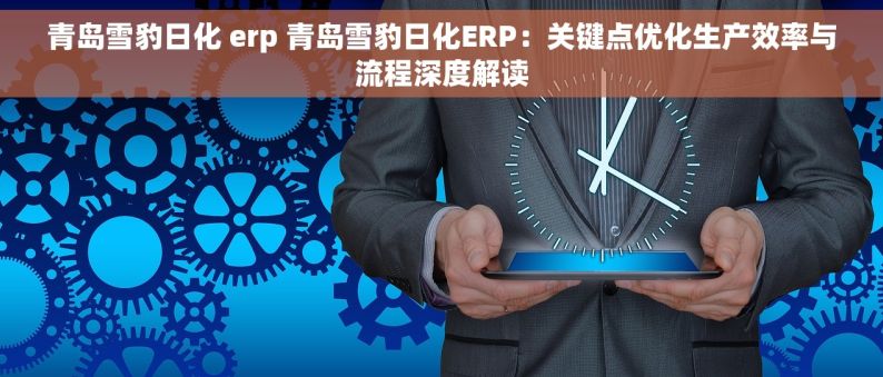 青岛雪豹日化 erp 青岛雪豹日化ERP：关键点优化生产效率与流程深度解读