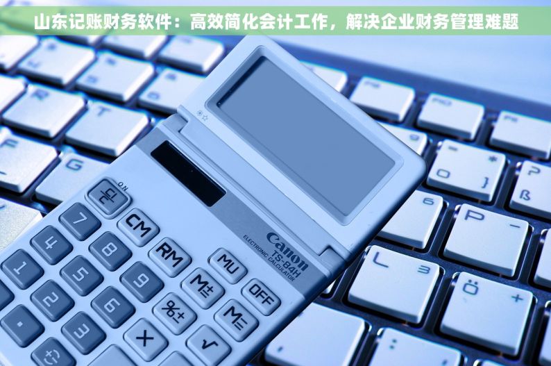 山东记账财务软件：高效简化会计工作，解决企业财务管理难题