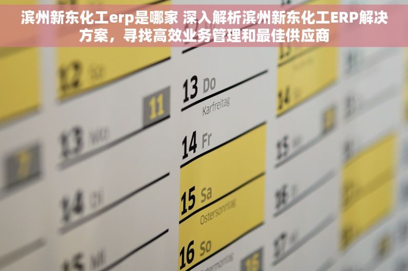 滨州新东化工erp是哪家 深入解析滨州新东化工ERP解决方案，寻找高效业务管理和最佳供应商