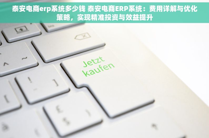 泰安电商erp系统多少钱 泰安电商ERP系统：费用详解与优化策略，实现精准投资与效益提升