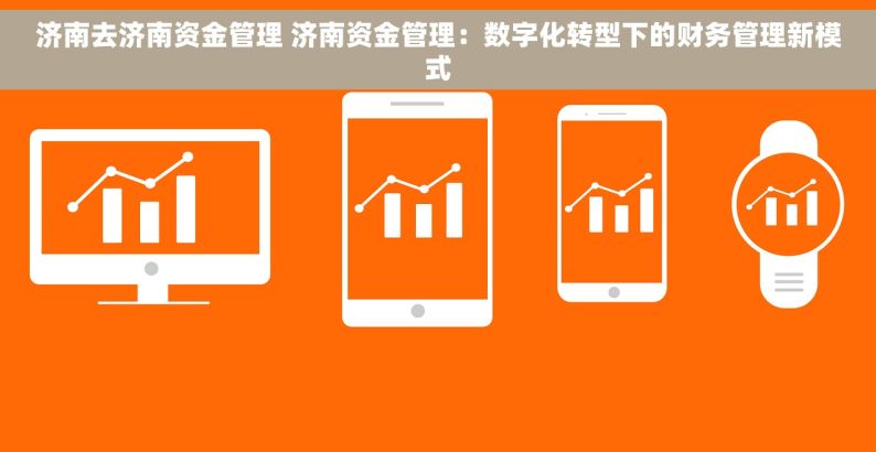 济南去济南资金管理 济南资金管理：数字化转型下的财务管理新模式
