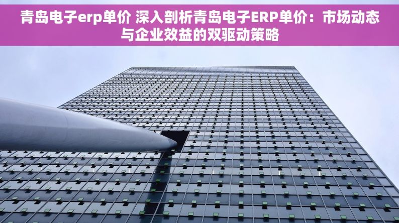 青岛电子erp单价 深入剖析青岛电子ERP单价：市场动态与企业效益的双驱动策略